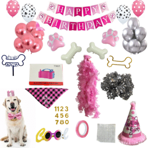 Dog Birthday Kit