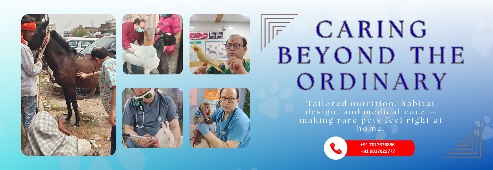 Caring beyond ordinary