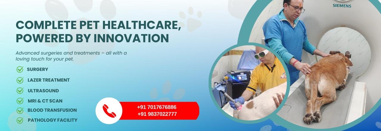 WhatsApp Image 2025-10-12 at 6.03.33 PM